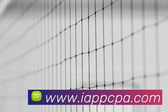 pa视讯品牌故事